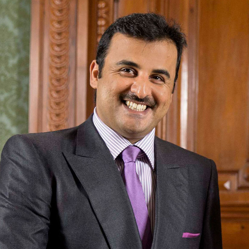 Tamim bin Hamad Al Thani, Emir of Qatar