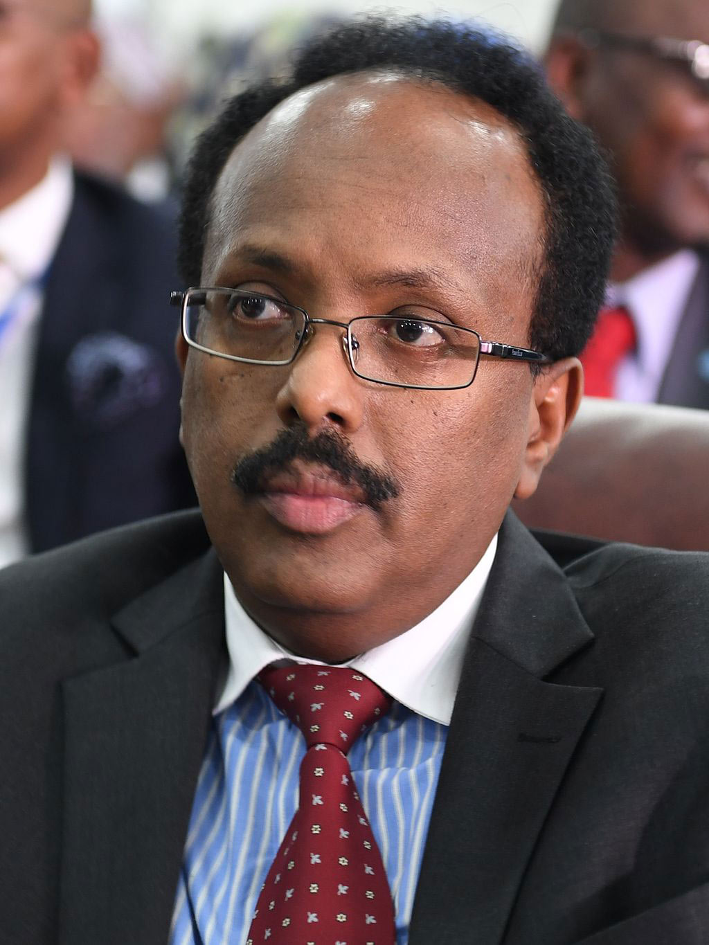 President Of Somalia | Current Leader