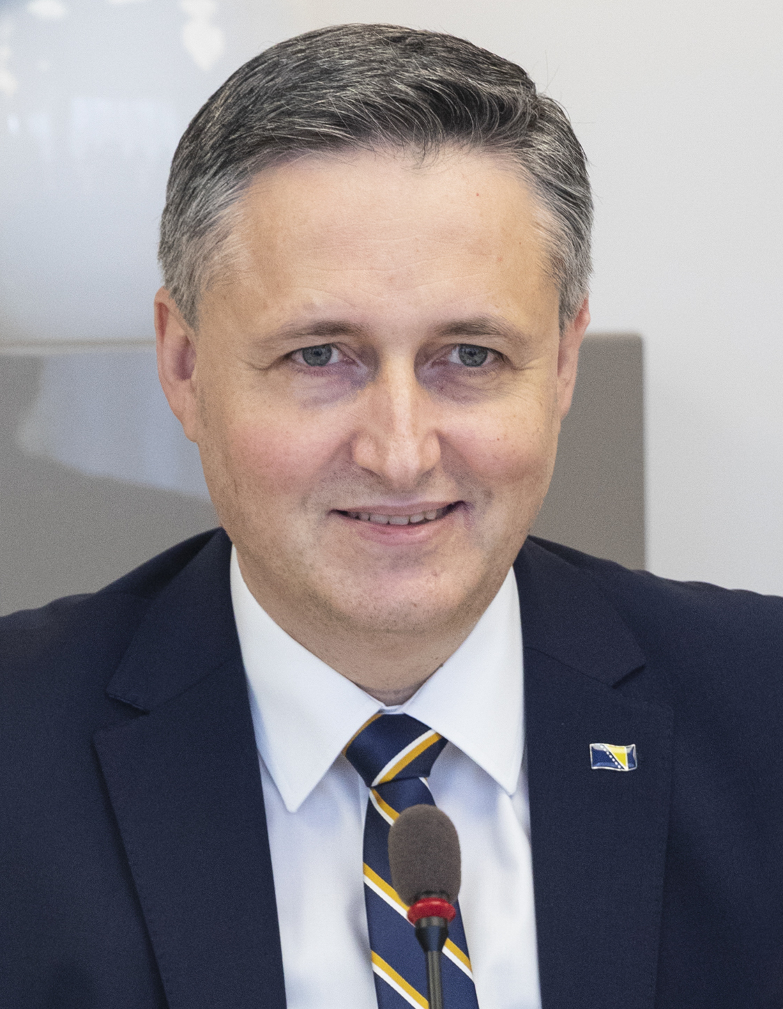 Chairman of the Presidency of Bosnia and Herzegovina
